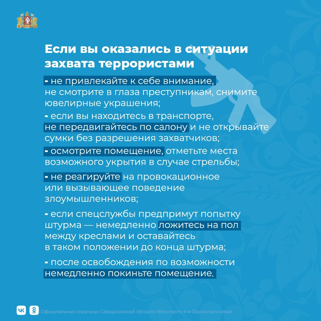 Т 5