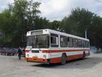 bus