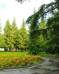 parkd